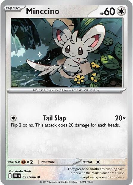 Minccino (075/086) (BLK)