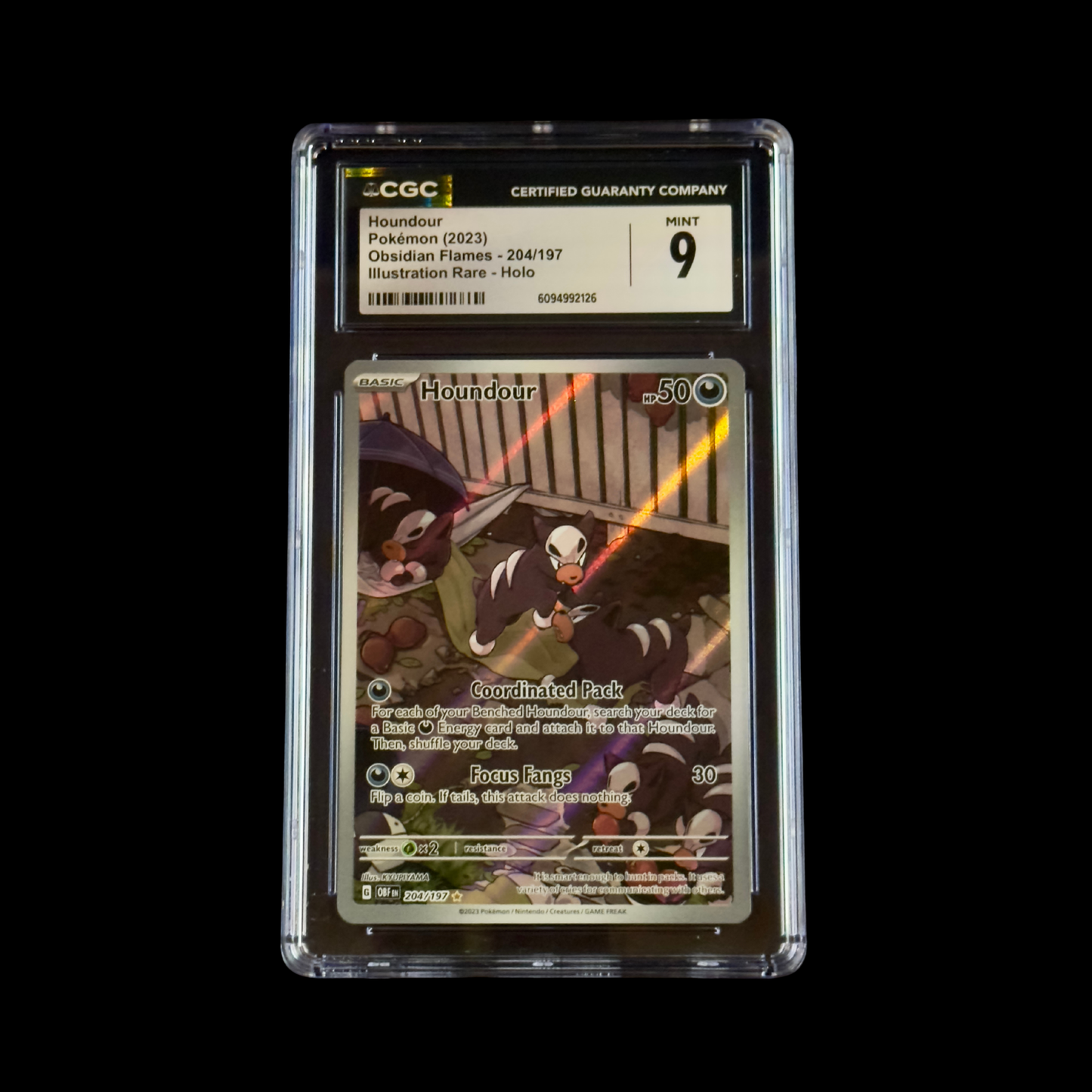 Pokemon Slab Houndour 204 CGC 9 Mint 2023