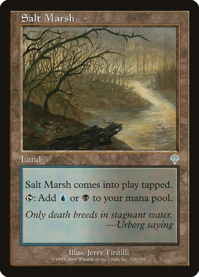 Salt Marsh (326) (INV)