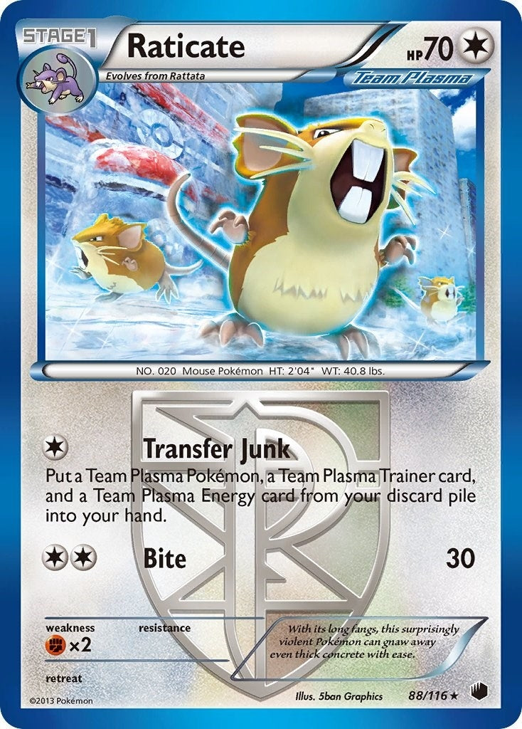 Raticate (Team Plasma) (88/116) (PLF)