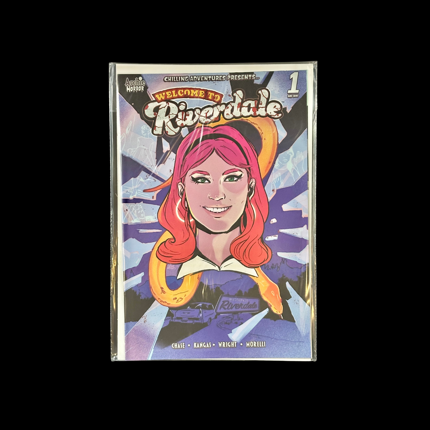 Random Comic Book (Write In Notes What You Would Like)