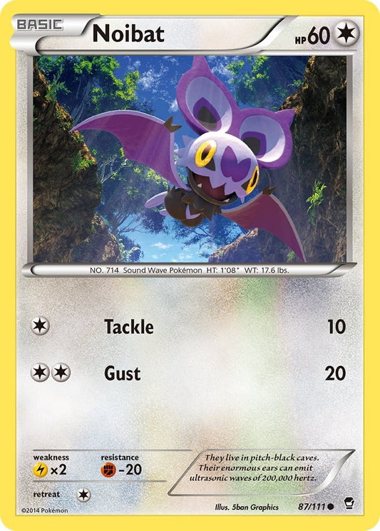 Noibat (87/111) (FFI)