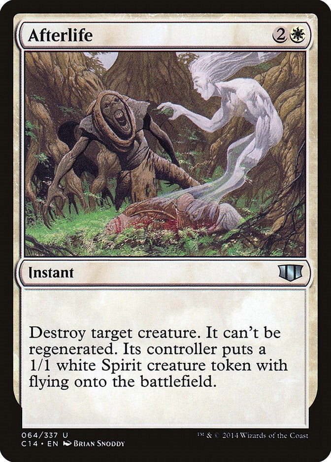 Afterlife (64) (C14)
