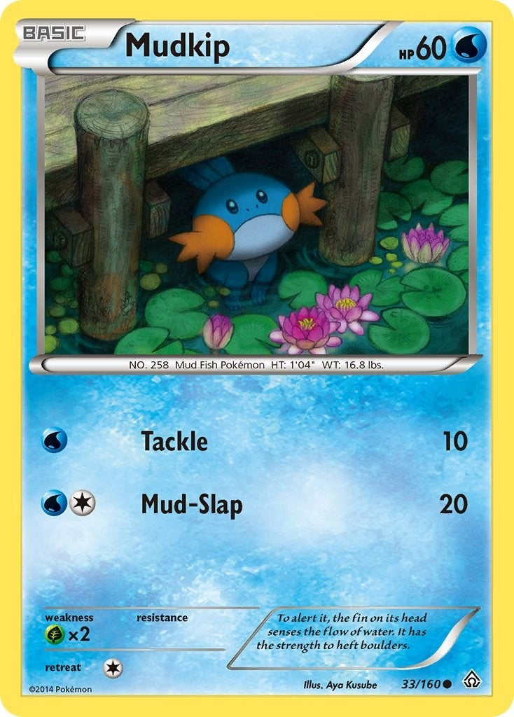 Mudkip (33/160) (PRC)