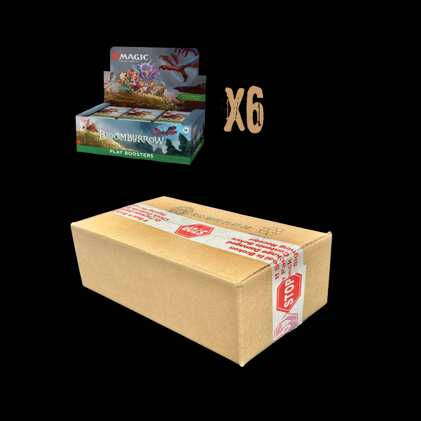 MTG Magic The Gathering Bloomburrow Play Booster Box Sealed Case